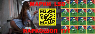 молекула духа Будённовск