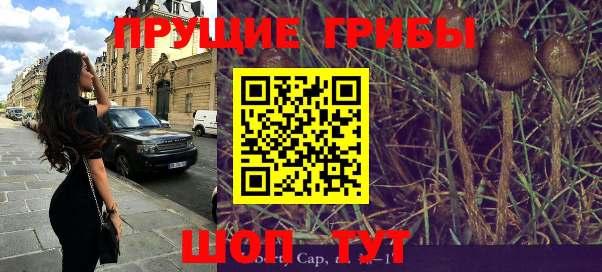 Галлюциногенные грибы прущие грибы  Псилоцибиновые грибы Cubensis  Заречный  Вход с VPN 