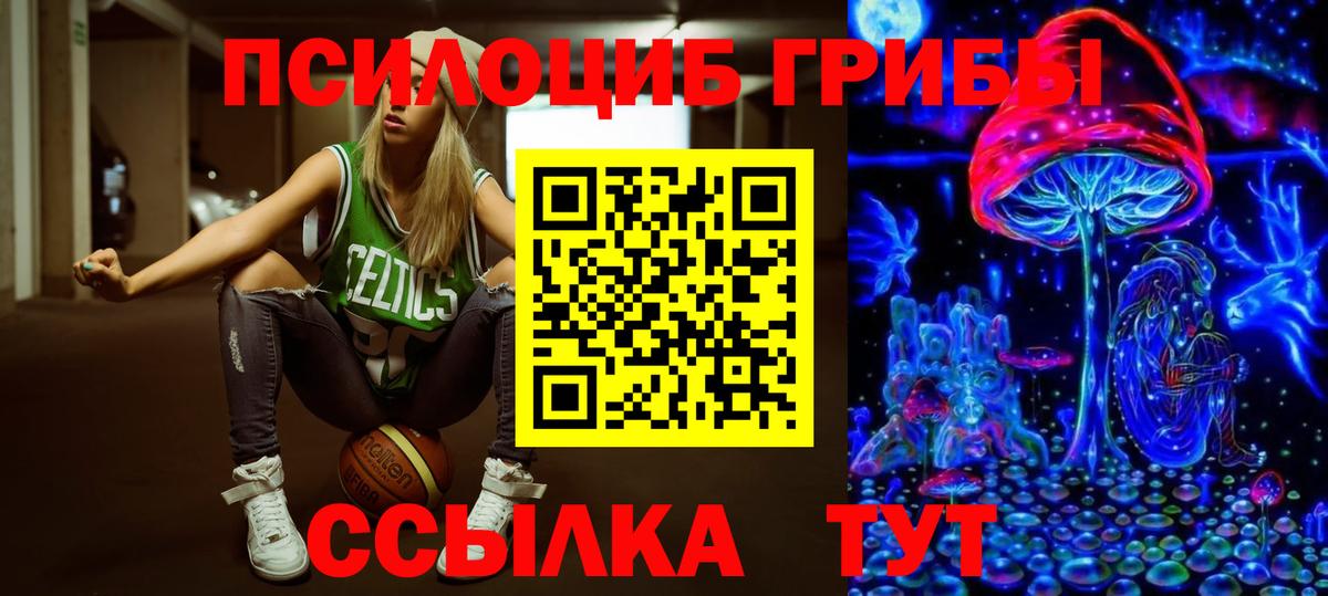 Галлюциногенные грибы Cubensis Заречный